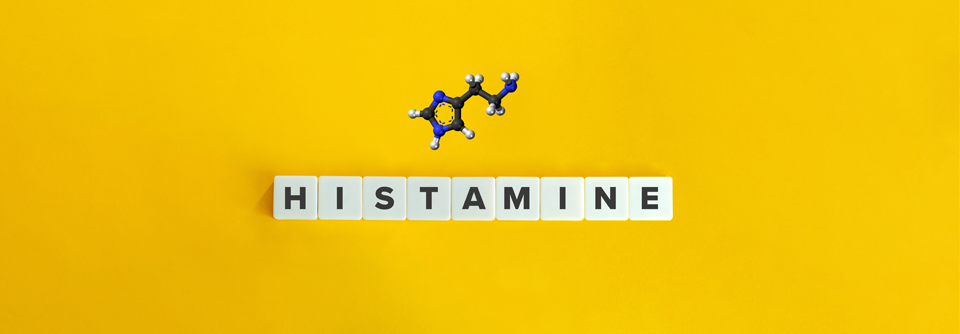 Zu Differenzialdiagnosen der Histaminintoleranz gehören unter anderem die Nahrungsmittelallergie oder eine inhalative Allergie.