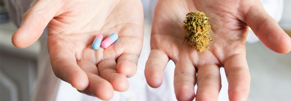 Die Therapie mit Cannabismedikamenten kann in der Palliativ- und Schmerzmedizin zu erstaunlichen Ergebnis führen.