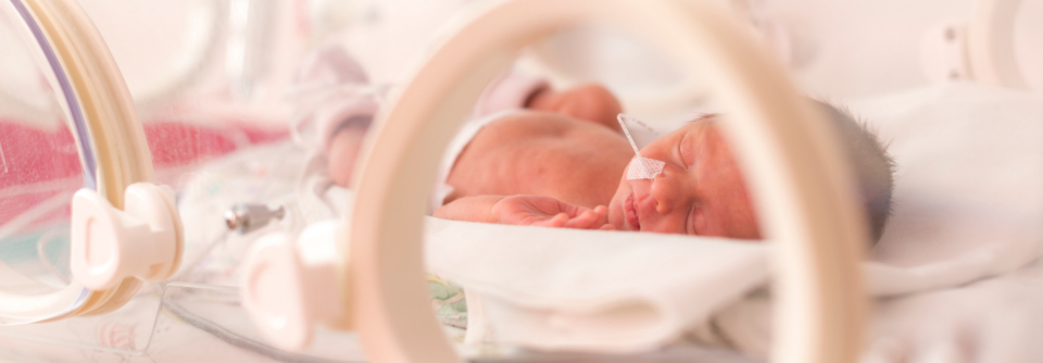 Frühchen mit extrem niedrigem Geburtsgewicht haben einen schweren Start ins Leben. Sie sind vor und nach der Geburt hohem Stress ausgesetzt.