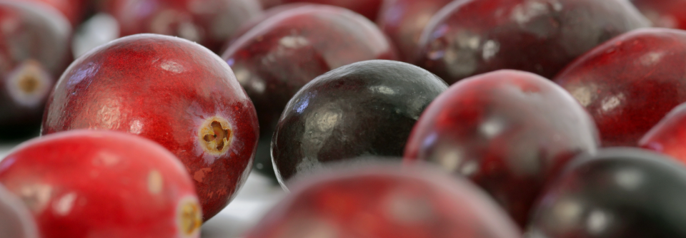 Cranberrys halten die Harnwege sauber Cranberrys, hierzulande auch als Kranichbeeren oder amerikanische Moosbeeren bekannt, enthalten Proanthocyanidine.