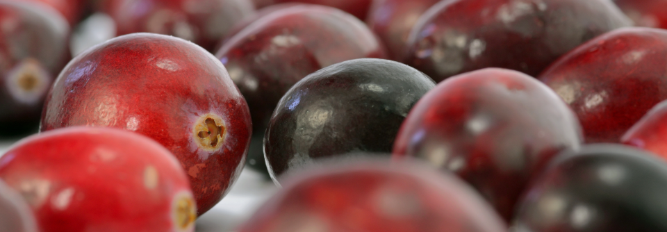 Cranberrys, hierzulande auch als Kranichbeeren oder amerikanische Moosbeeren bekannt, enthalten Proanthocyanidine.