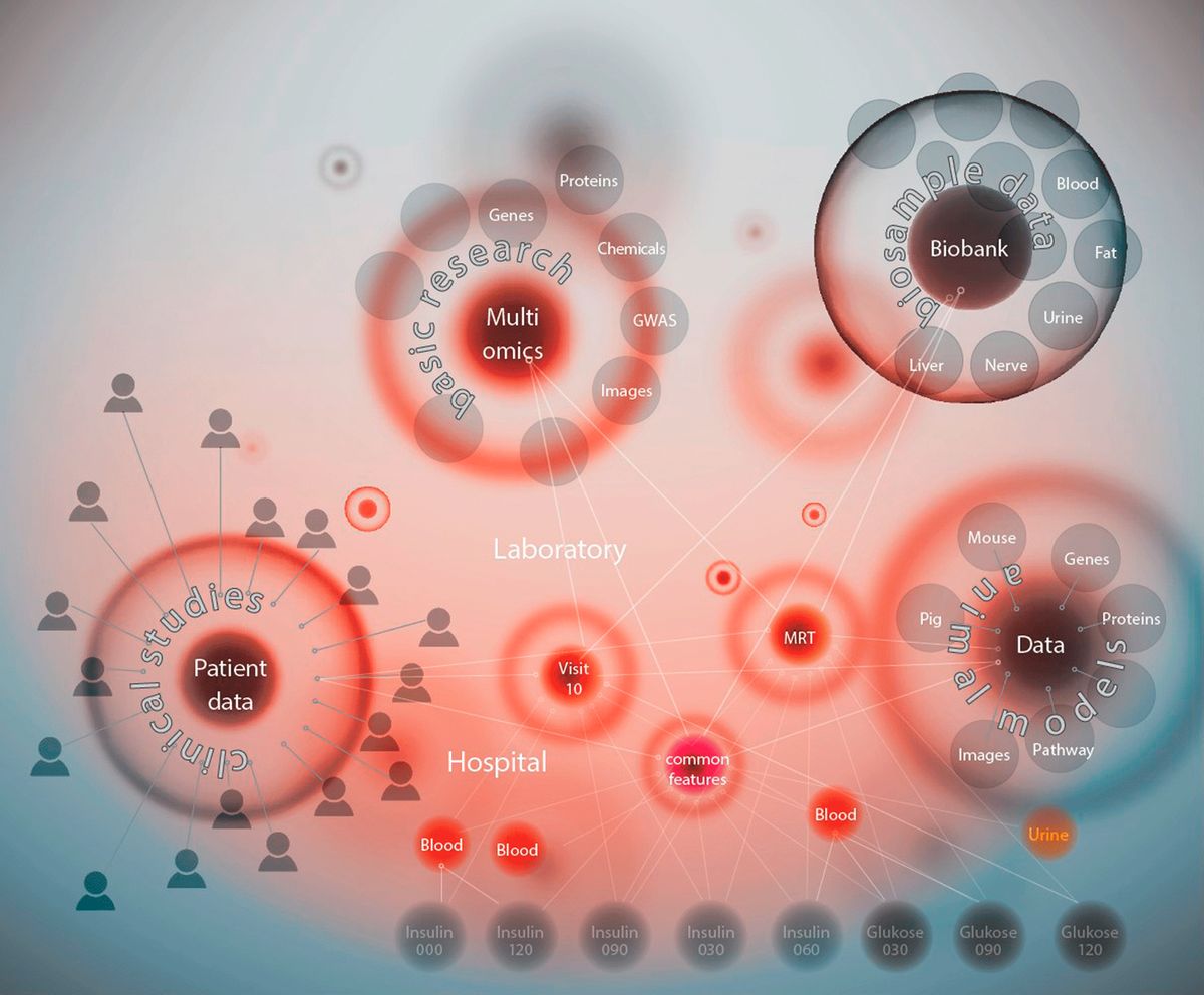 Innovatives Datenmanagement gegen Diabetes