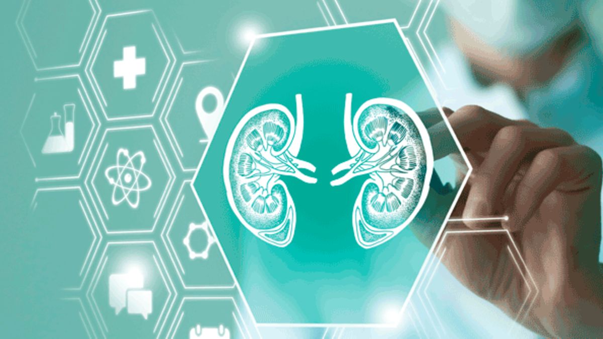 Mit Training gegen Niereninsuffizienz