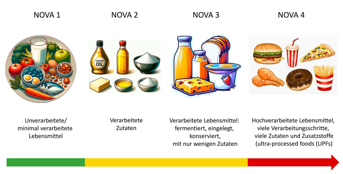 Können mit der NOVA-Klassifikation Gesundheitsrisiken besser erfasst werden?