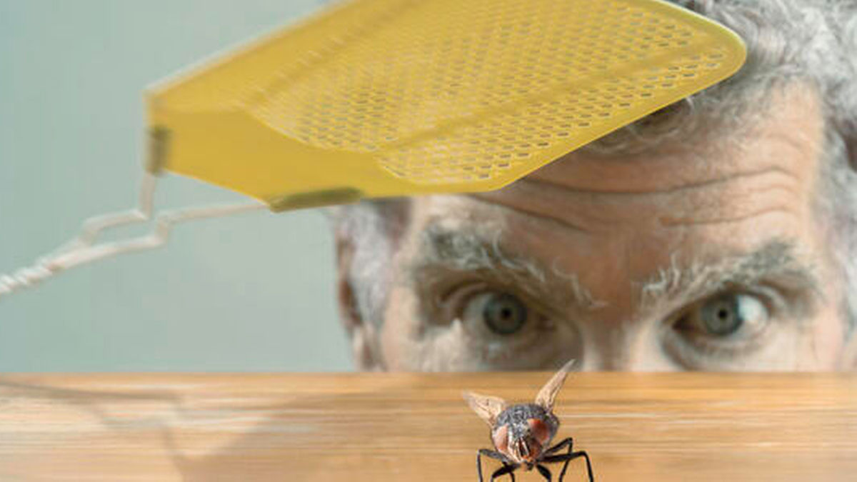 Fliegen Mit Bluthochdruck