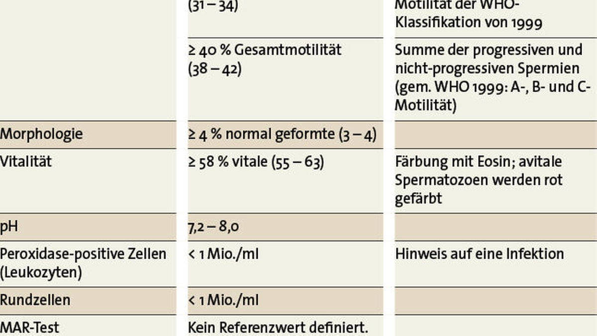 Infertilitt beim Mann : Kinderwunsch erfllbar?