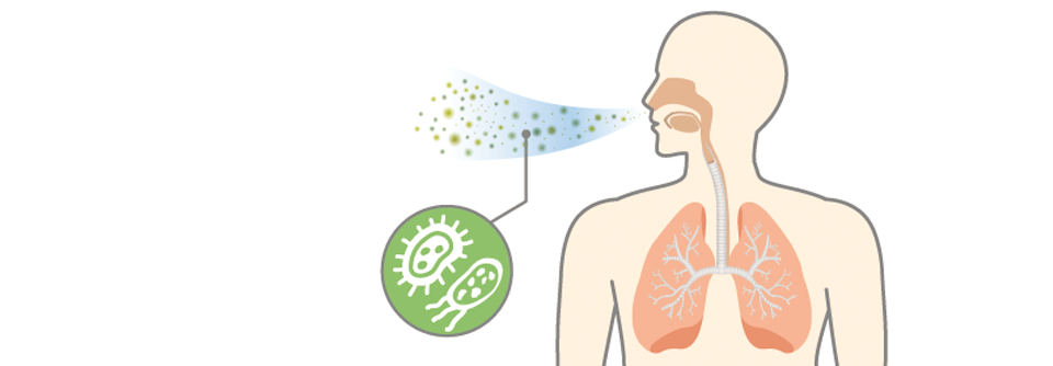 Häufiger Infektionsweg für eine Histoplasmose ist die Inhalation von kontaminierten Stäuben, etwa in Fledermaushöhlen. 