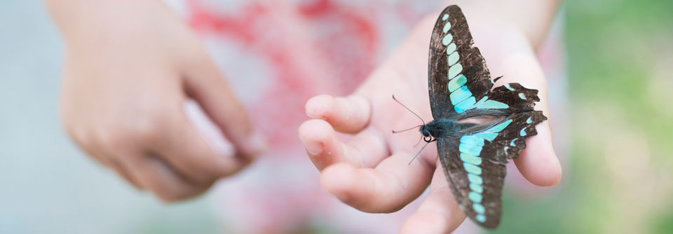 An JEB erkrankte Kinder werden aufgrund ihrer fragilen Haut auch Schmetterlingskinder genannt.