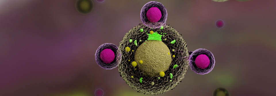 Wie lässt sich die Effektivität von CAR-T-Zellen steigern?
