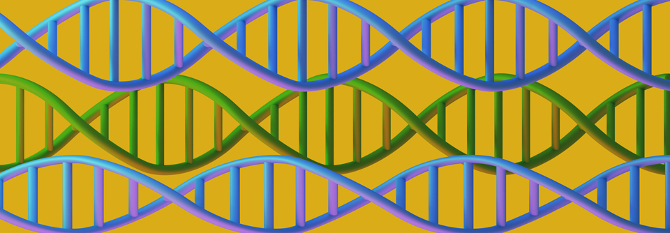 CodeBreak 100: häufige Mutation angreifbar.