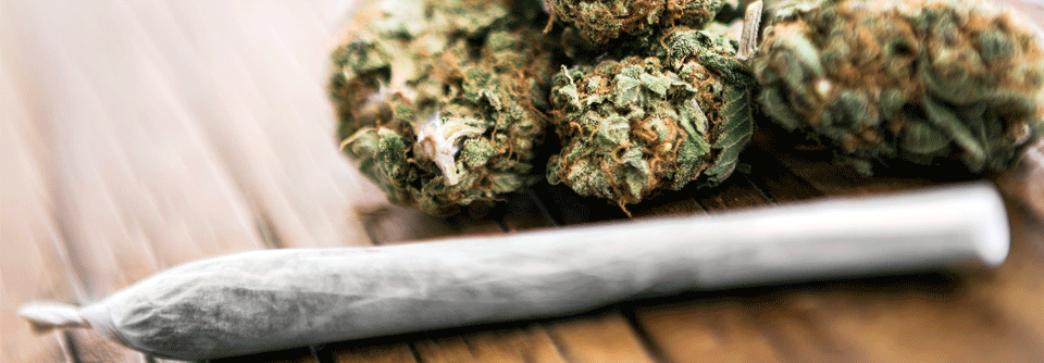 Man verordnete der Patientin Cannabisblüten mit einem THC-Gehalt von 18 %. (Agenturfoto)