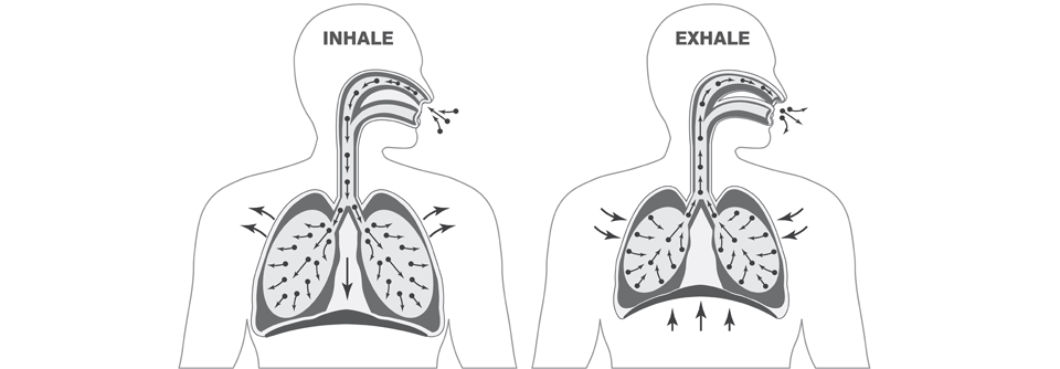 Beim Asthma bronchiale liegt eine ungleichmäßige Belüftung der Lungen vor, bei der COPD eine inhomogene Entlüftung.