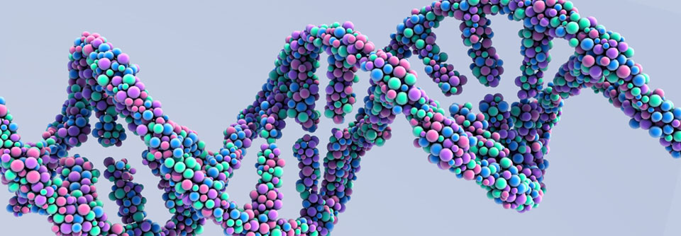 Neben BRCA1/2 sind bei Brustkrebs auch noch andere Gen-Mutationen von Relevanz.