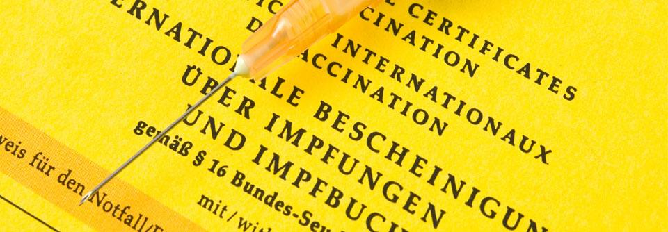 Neben dem Impfpass sollen bald auch COVID-19-Impfzertifikate als Nachweis der Immunisierung dienen.