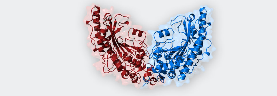 Hinter einer erhöhten Creatinkinase kann Vieles stecken.