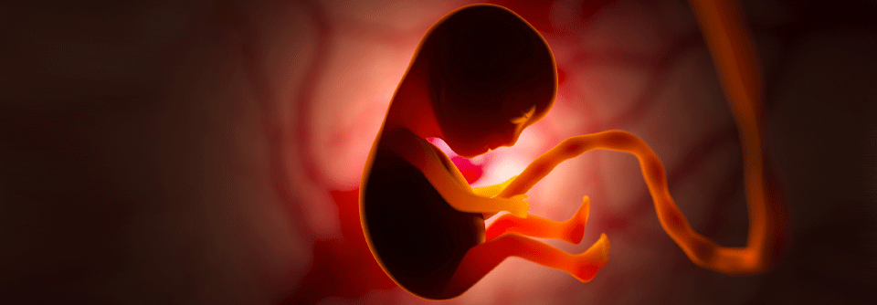 Heutzutage überlebt die Mehrzahl der Frühgeborenen, darunter sogar vermehrt extrem unreif geborene Kinder.