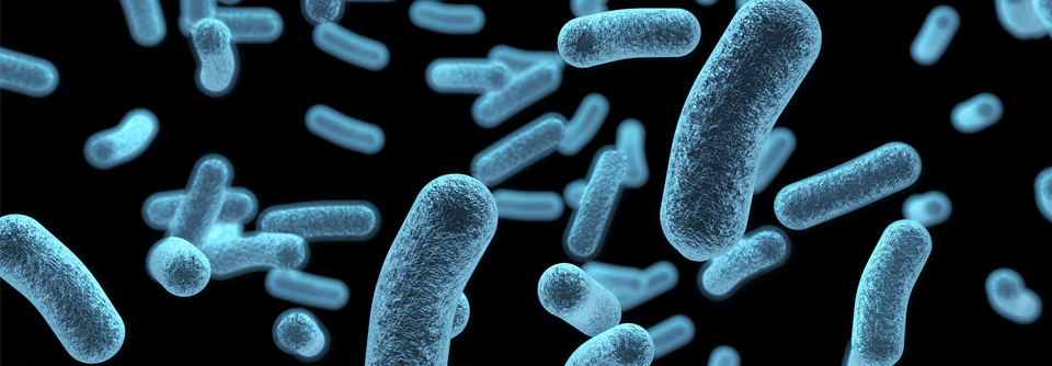 Das Antibiotikum nutzt das bakterieneigene Eisenaufnahmesystem, um in die Zelle einzudringen.