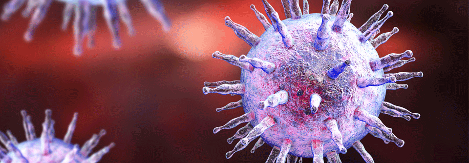 Die COVID-19-Infektion könnte die Reaktivierung des Epstein-Barr-Virus triggern und damit das Long-COVID-Syndrom auslösen.
