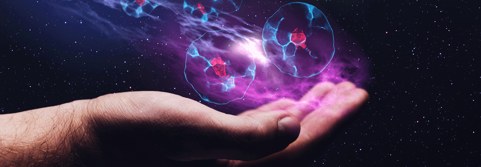 Über BCMA das Multiple Myelom angreifen
Das Therapieansprechen ist mehr als verdoppelt.