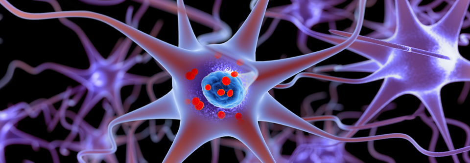 α-Synuclein lässt sich u.a. in Magenmukosa, Speicheldrüsen, Hautbiopsien und Liquor nachweisen.