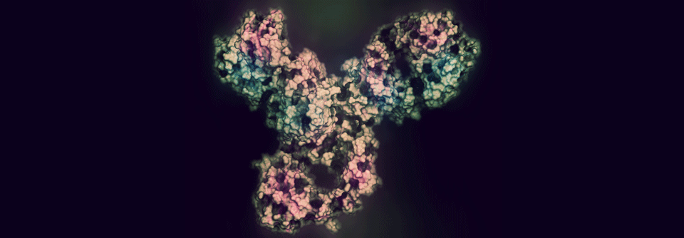 Patienten mit NSCLC vertrugen die gestreckten Intervalle bei höherer Dosis von beispielsweise Pembrolizumab überwiegend gut.