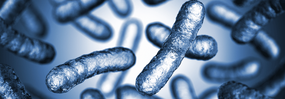 Symptome einer Infektion mit Nicht-Cholera-Vibrionen sind unter anderem Brechdurchfall, Wundinfektionen und Ohrentzündungen.