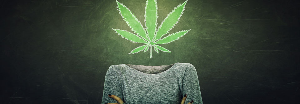 Gerade bei jungen Gehirnen, die noch in der Entwicklung sind, kann sich der Cannabiskonsum negativ auf den Kortex auswirken.