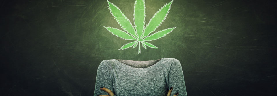 Cannabis stört Hirnreifung von Teenagern Gerade bei jungen Gehirnen, die noch in der Entwicklung sind, kann sich der Cannabiskonsum negativ auf den Kortex auswirken.