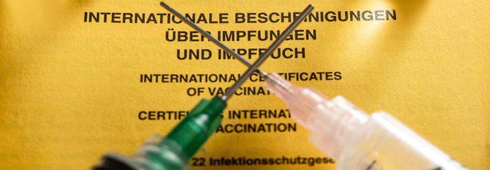 Die kombinierte COVID-19- und Influenzaimpfung hatte ein akzeptables systemisches Nebenwirkungsprofil. 