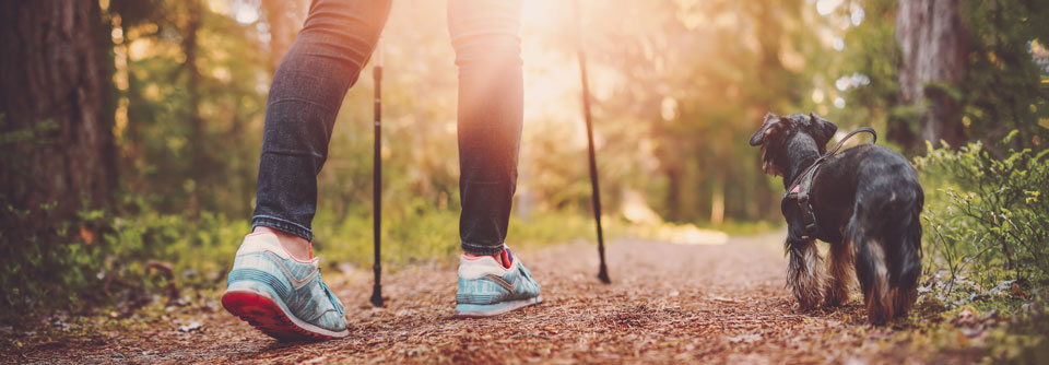 Nordic Walking, Wandern mit Freunden oder einfaches Gassigehen mit dem Hund: Es gibt viele Möglichkeiten, wie sich Bewegung in den Alltag einbinden lässt.