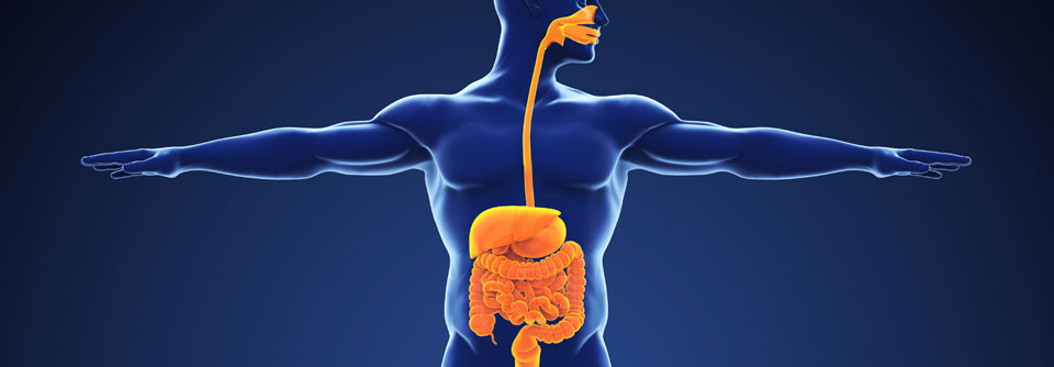 Morbus Crohn ist nicht immer erst eine Sache des Darms, sondern kann auch schon Mund, Speiseröhre und Magen betreffen.