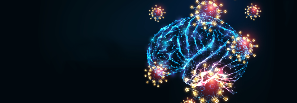 Phosphatidylcholin ist den Markern Laktat und Zellzahl überlegen.