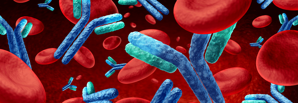 Der Antikörper wurde für die Behandlung von B-Zell-Lymphomen in einer Phase-1/2-Studie geprüft.