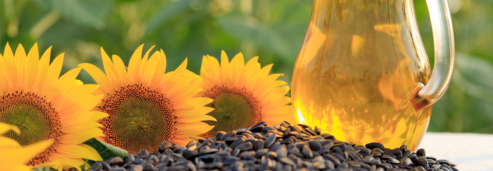 Unter anderem Distelöl und Sonnenblumenöl sind reich an Linolsäure.