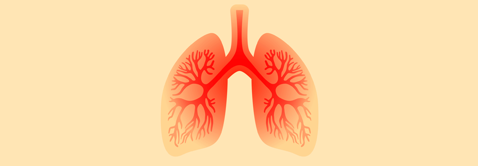 Ellithe-Studie: Triple-Therapie bei COPD-Patienten in der klinischen Praxis
Auch in der COPD-Therapie gilt: Mit der Therapietreue steigen die Chancen auf den Behandlungserfolg.