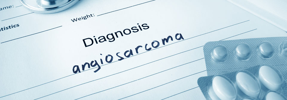Angiosarkome lassen sich nur teils mittels Immuntherapie erfolgreich behandeln.