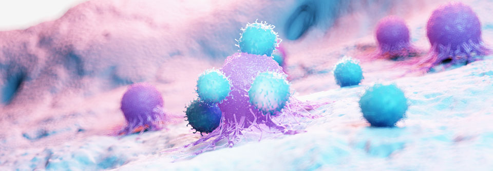 Natürliche Killerzellen sind nur eine Möglichkeit die Immunogenität zu erhöhen.