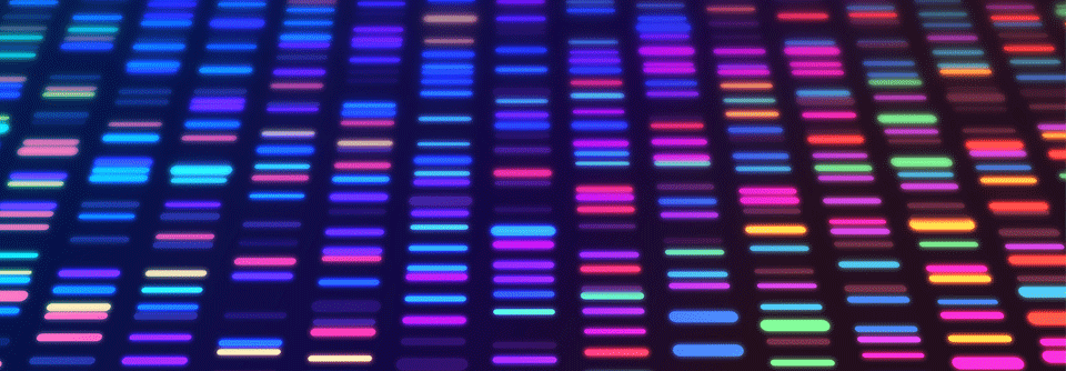 238 Patientinnen erhielten entweder eine auf die genomischen Alterationen des Tumors abgestimmte zielgerichtete Behandlung  oder weiter die Chemotherapie. 