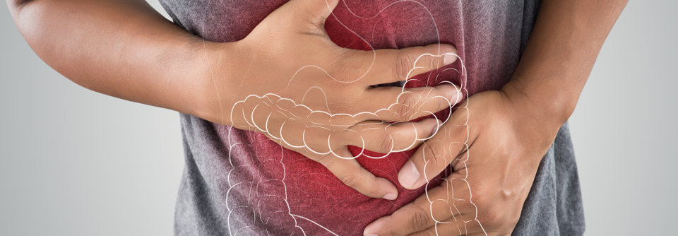 Clostridioides difficile erhöht u.a. die Durchlässigkeit der Darmwand. 