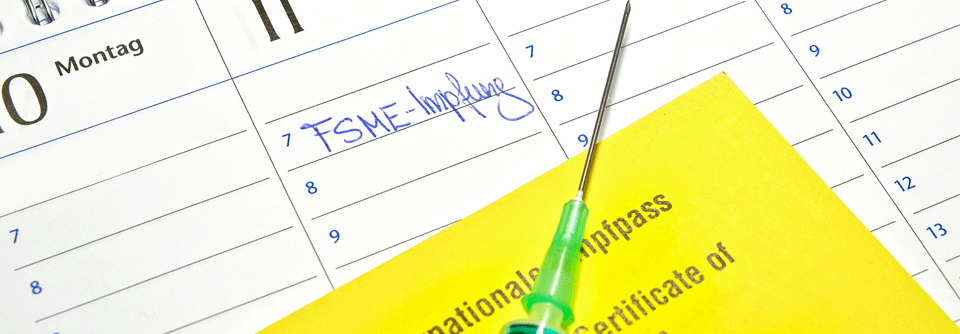 Die Impfung bietet den besten Schutz vor FSME.