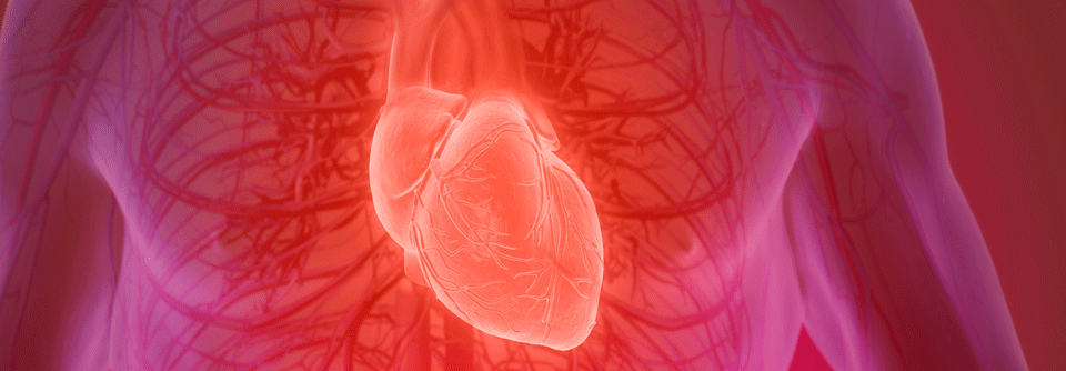 Leitlinien empfehlen echokardiographische Kontrollen alle 1–3 Jahre.