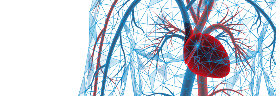 Das erhöhte Risiko für Thromboembolien bei Polycythaemia vera gilt es, mit neuen Markern zu identifizieren.