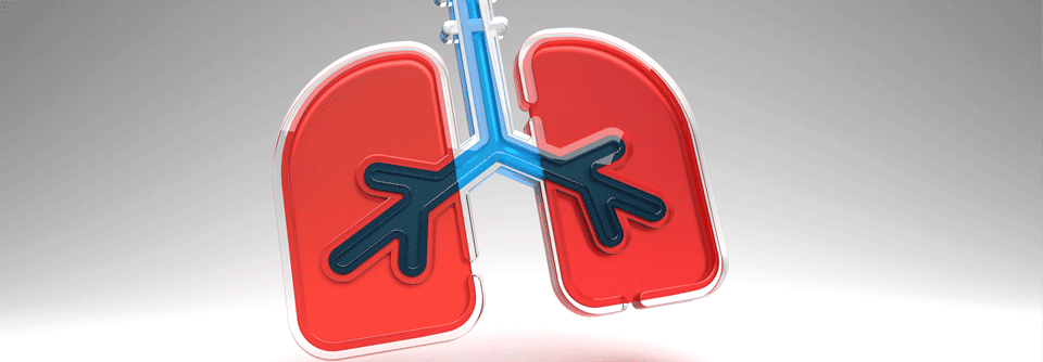 Checkpoints effektiv inhibieren Das NSCLC gehört zu den Tumoren, die oft eine hohe Mutationslast aufweisen.