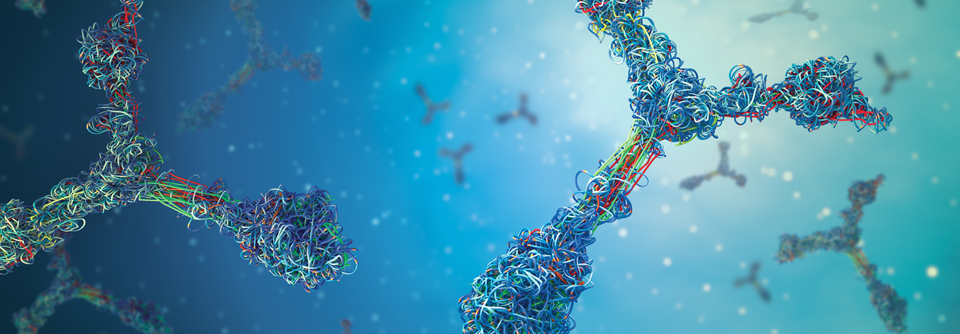 Wann sind Immunglobuline in der Rheumatologie indiziert?