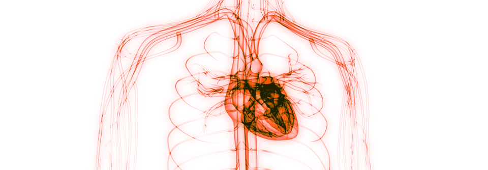 Gängige Herz-Scores bei Rheumapatienten sind
oft nicht präzise genug.