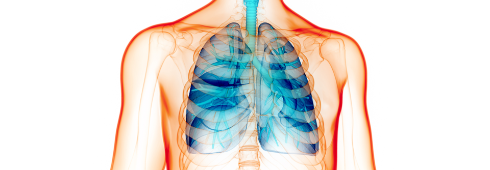 Mit der Ventiltherapie bessern sich oft FEV1 und 
Belastbarkeit und somit die Lebensqualität.