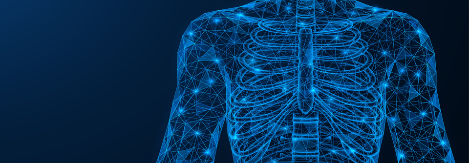 Mediastinum: Bei Raumforderungen hat die Lage grundlegende Bedeutung Die meisten Tumoren bevorzugen bestimmte Kompartimente.