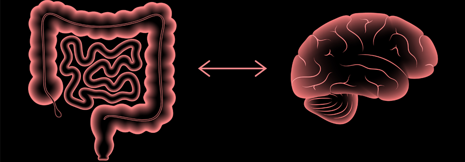 Darmbakterien haben überall ihre Finger im Spiel. Auch bei der Alzheimer-Demenz.