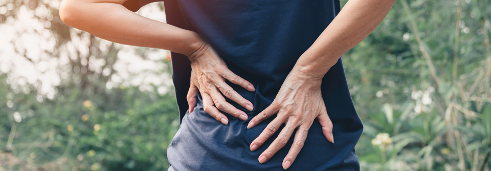 Es gibt viele Gründe aus denen der Rücken schmerzen kann.
