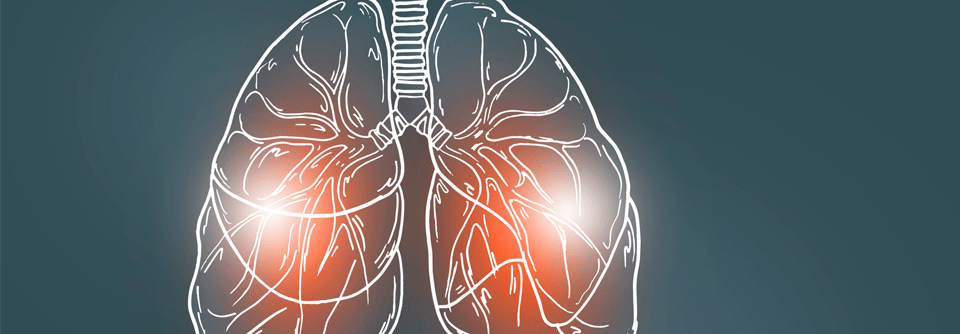 Je besser man die Entzündung beim Asthma bändigt, desto größer ist der Therapieerfolg.